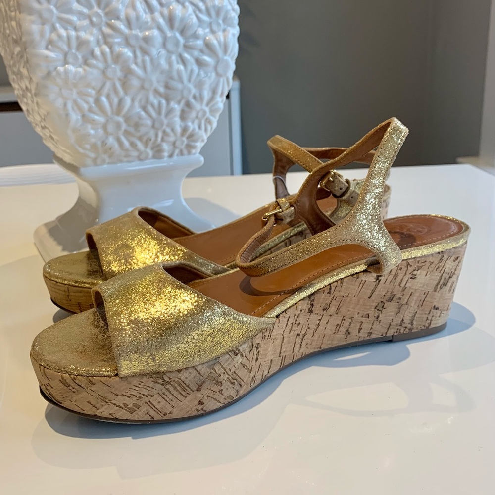 Tory Burch Gold Wedge Platform Sandal
